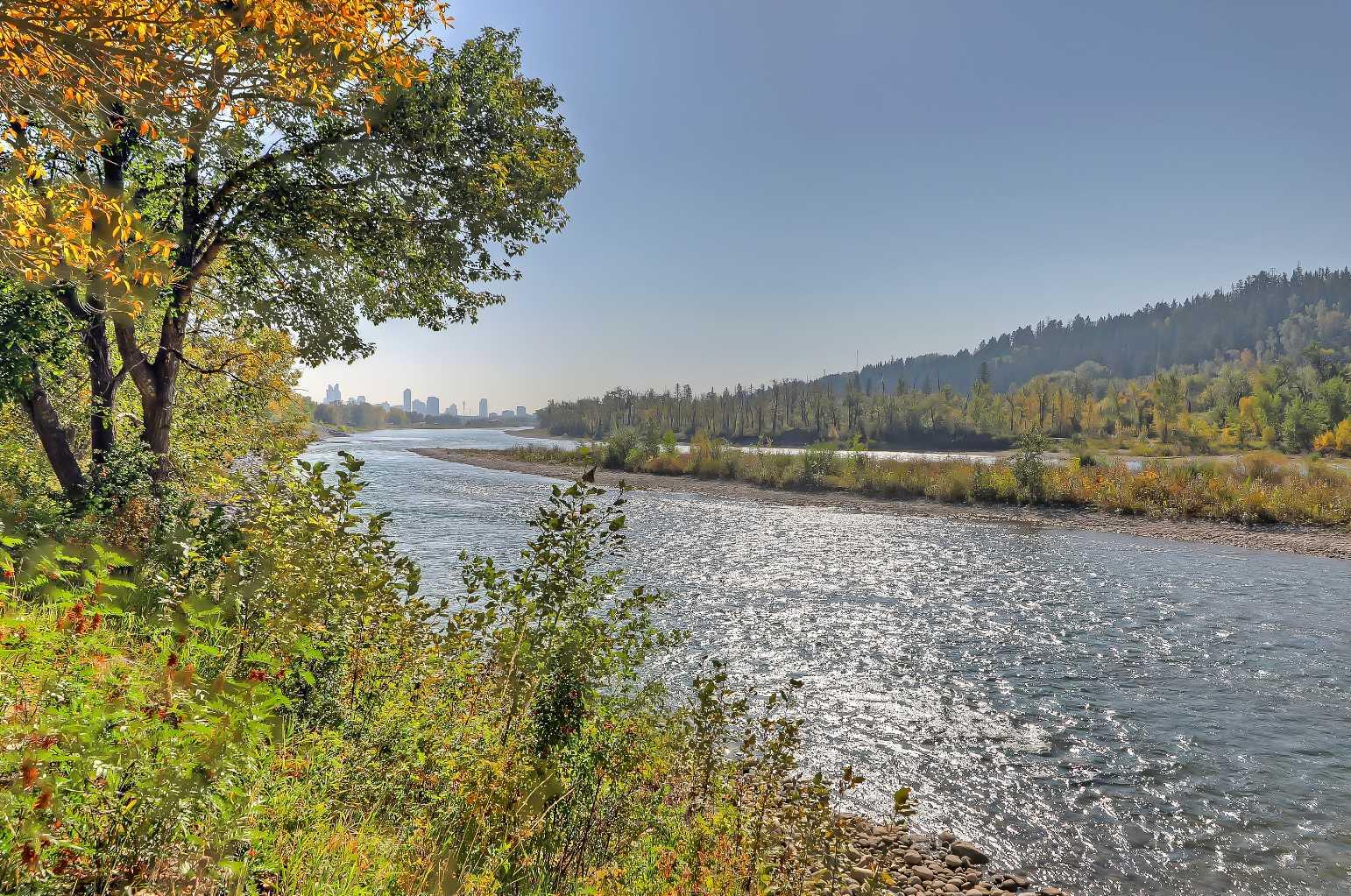 MLS #A2257991 image #46