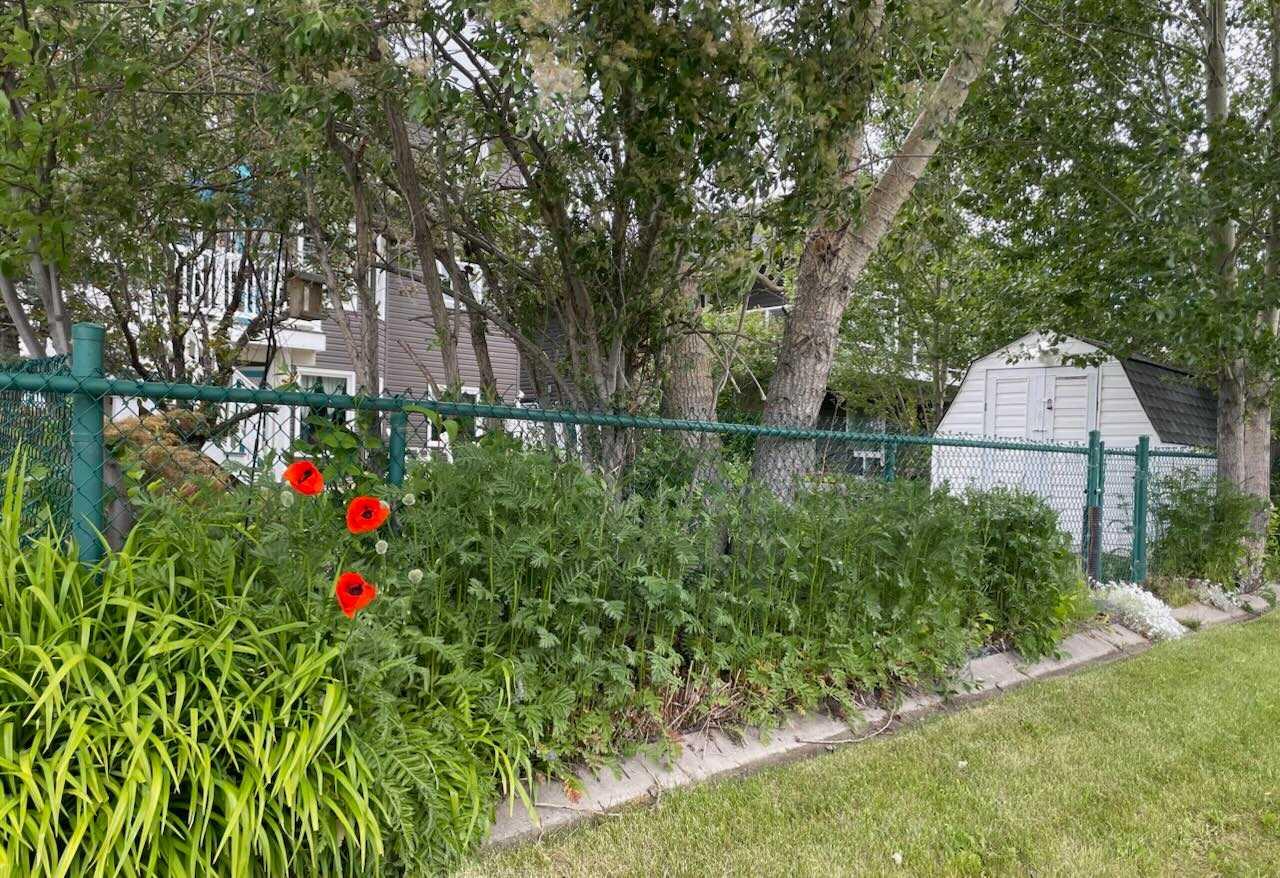 MLS #A2262309 image #32