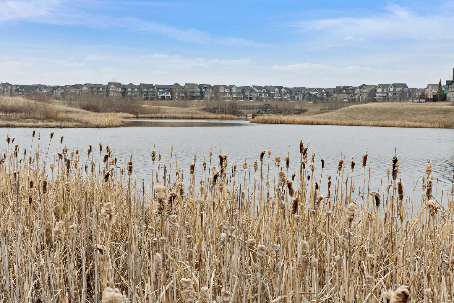 MLS #A2262713 image #27