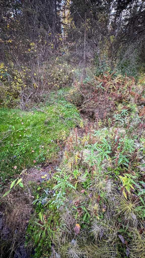 MLS #A2263912 image #14