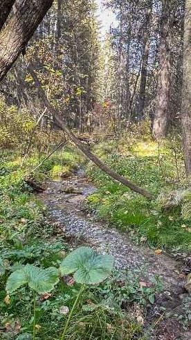 MLS #A2263912 image #2