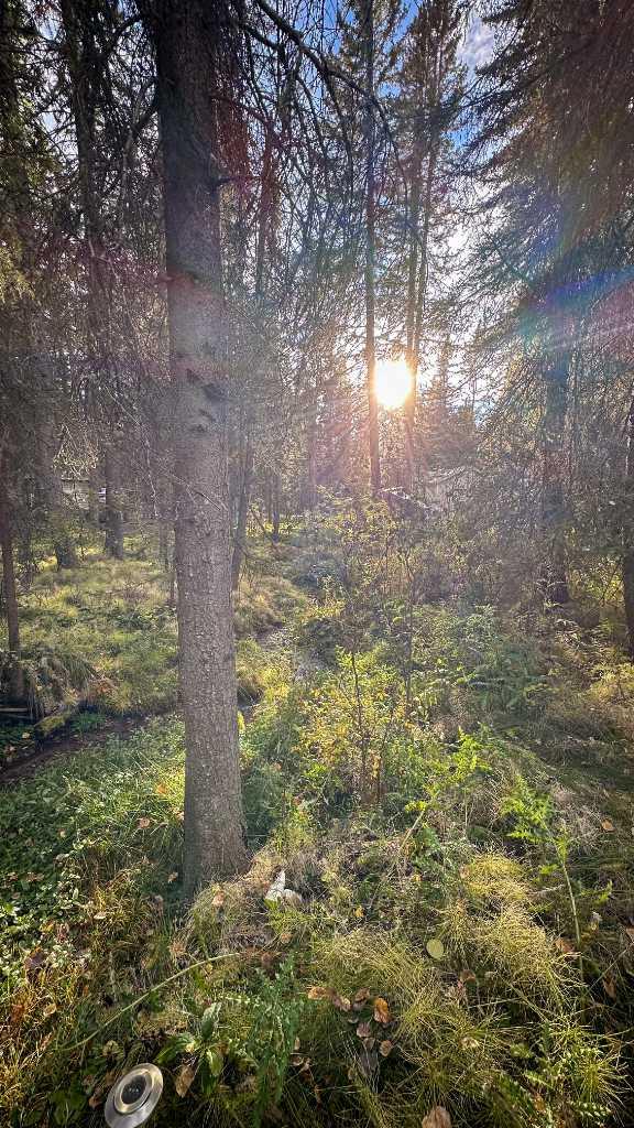 MLS #A2263912 image #7