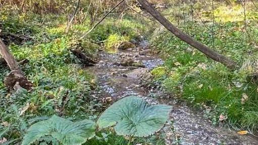 MLS #A2263912 image #8