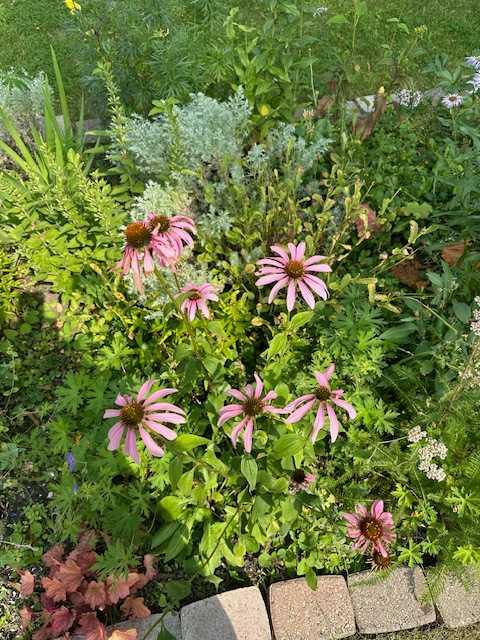 MLS #A2264201 image #31