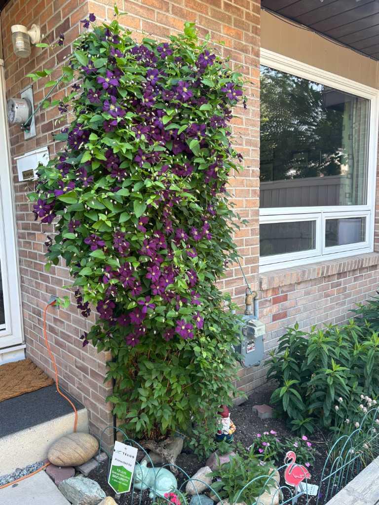 MLS #A2264496 image #26