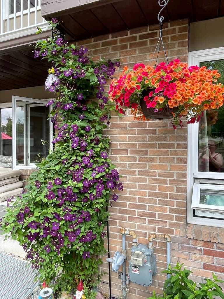 MLS #A2264496 image #27