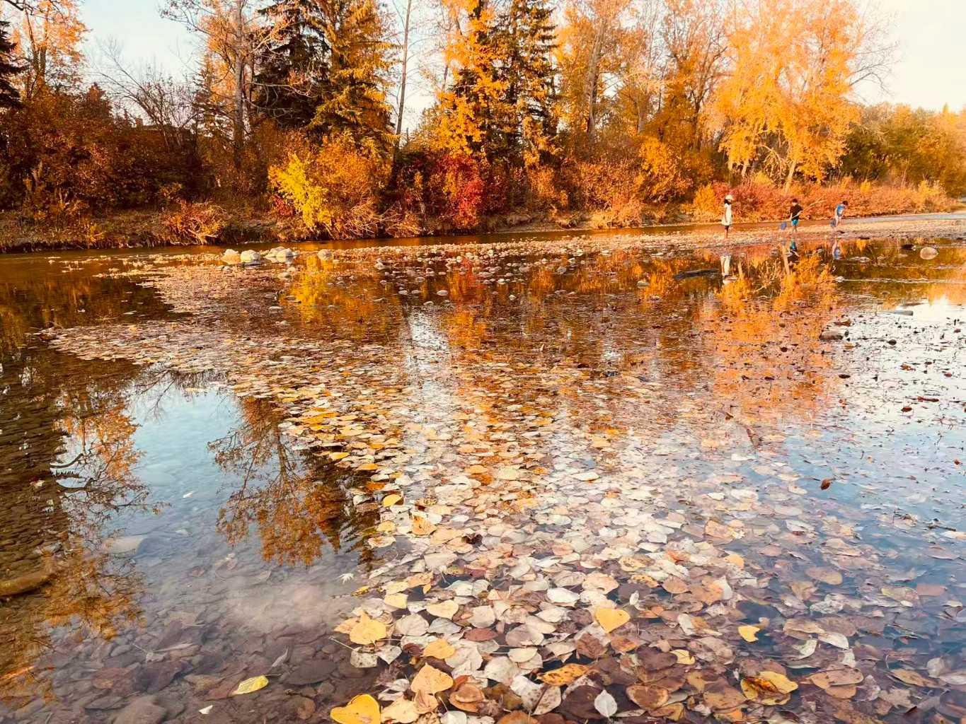 MLS #A2264912 image #40