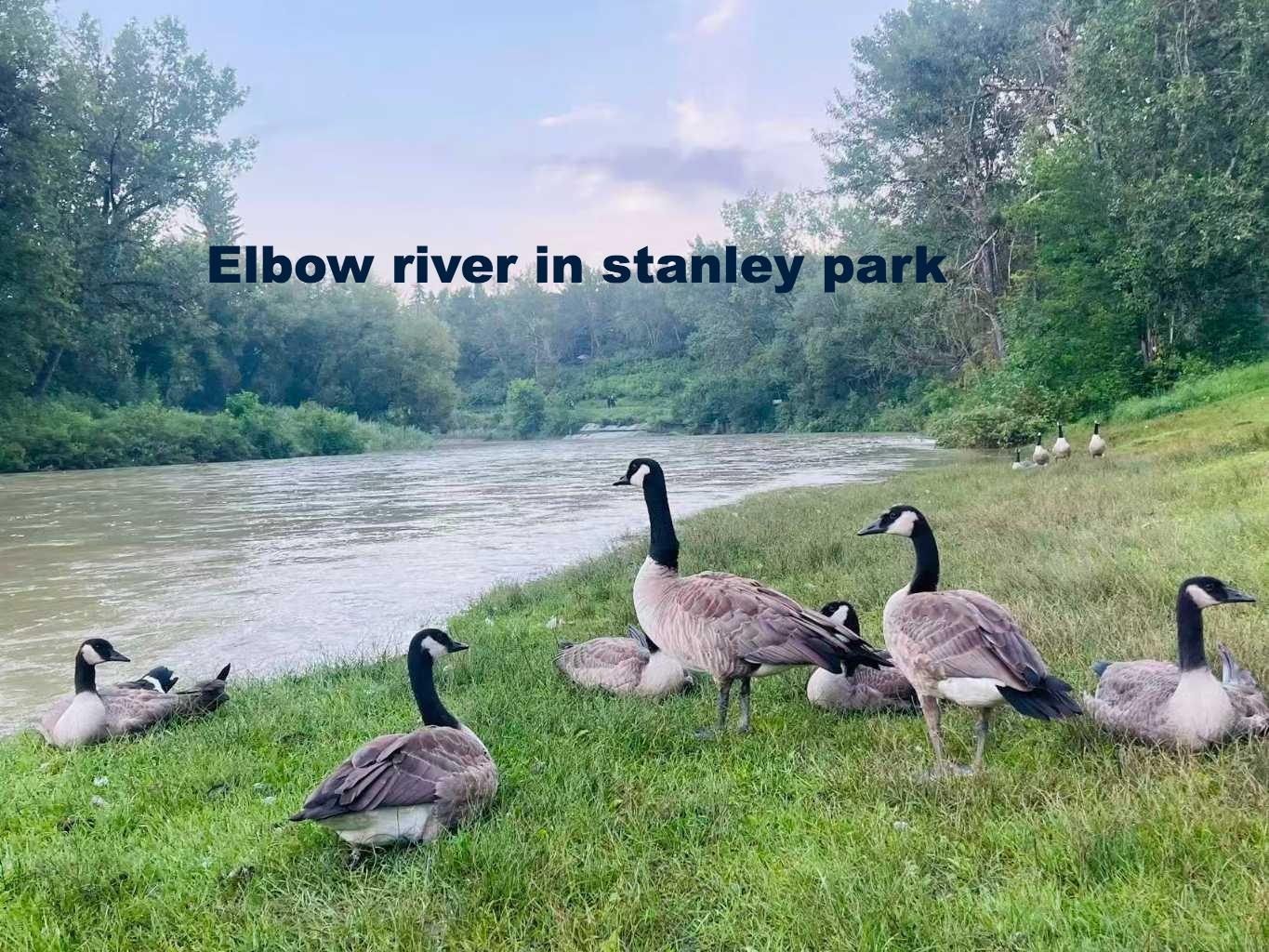 MLS #A2264912 image #41