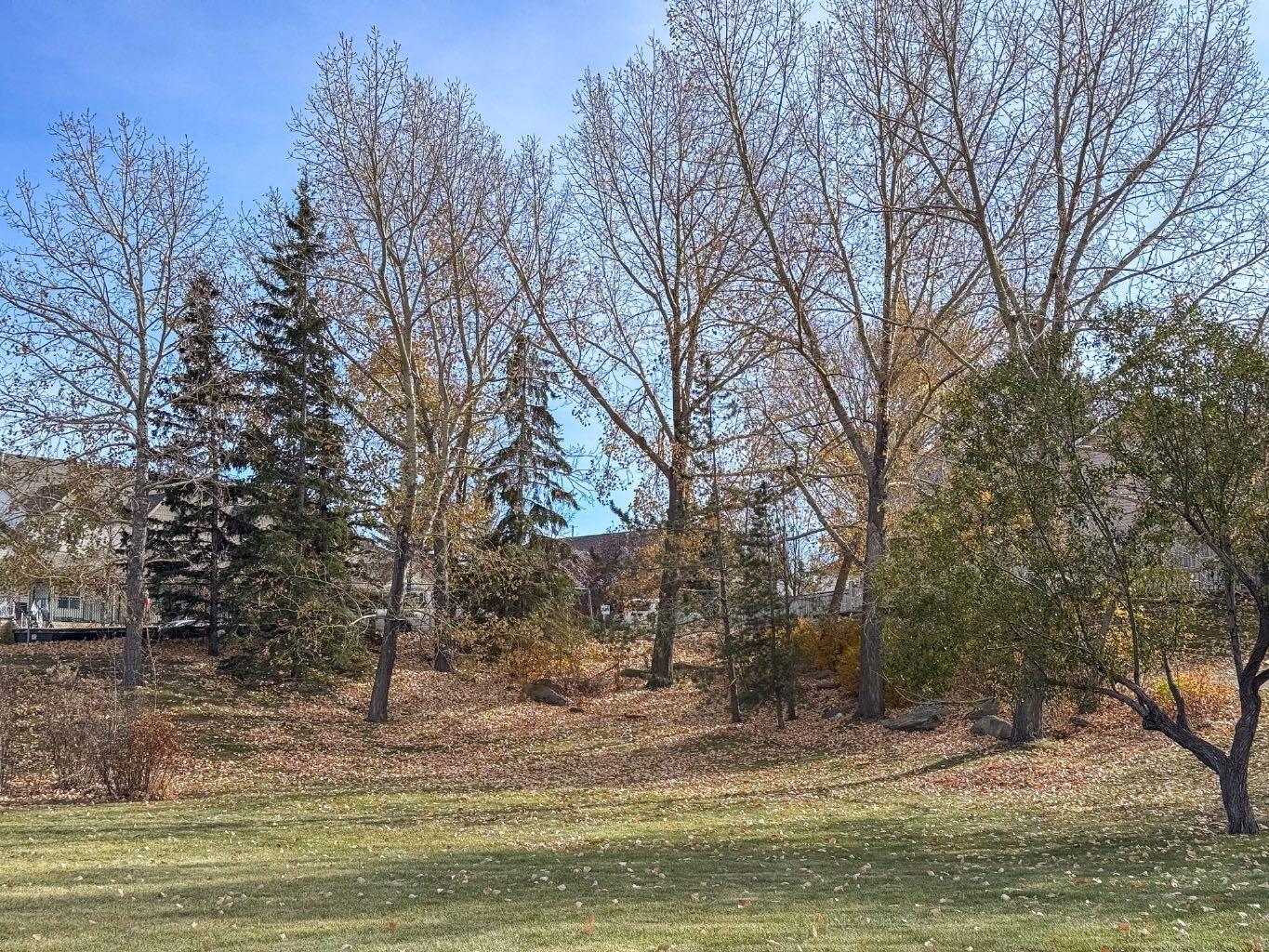 MLS #A2265833 image #46