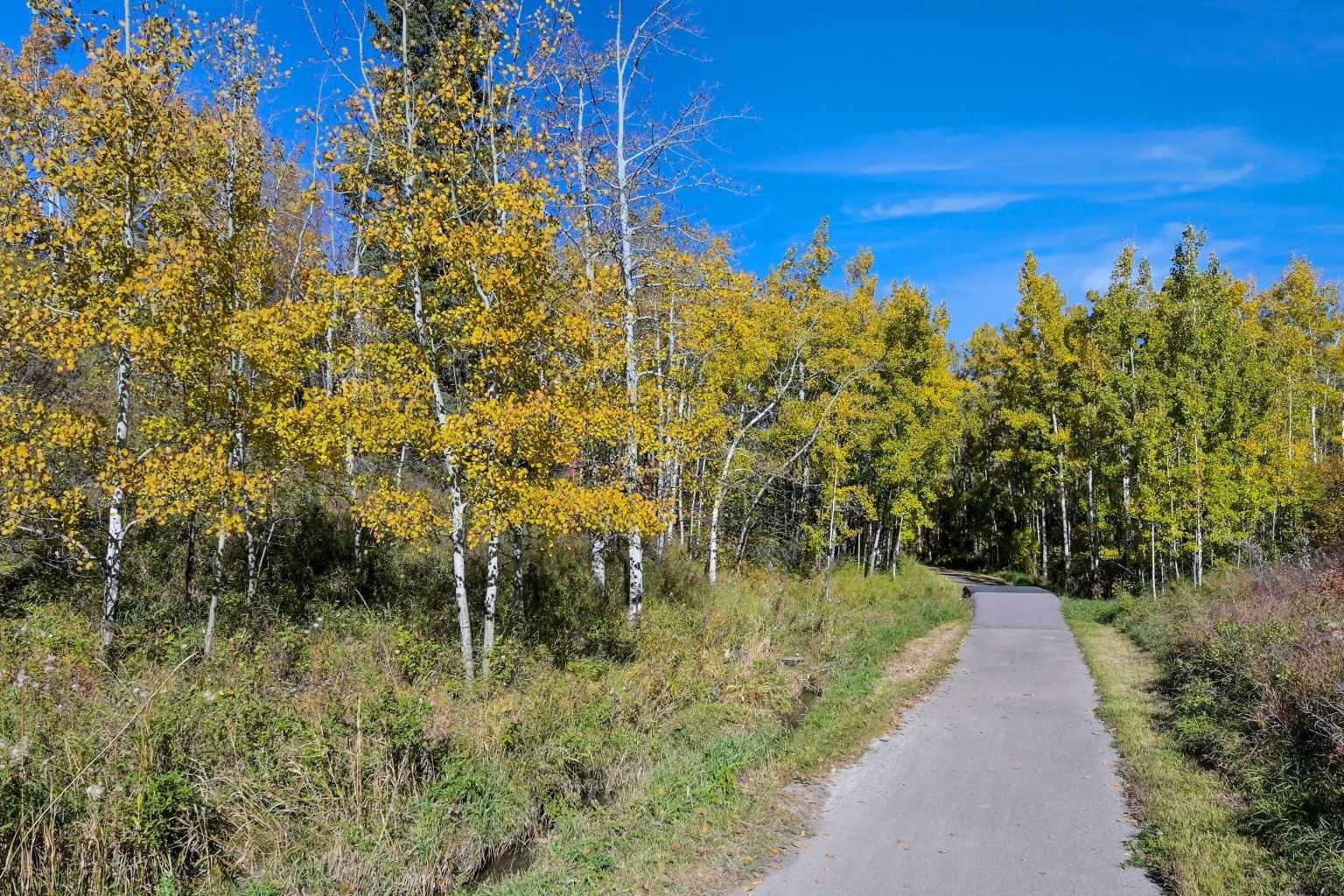 MLS #A2265903 image #44