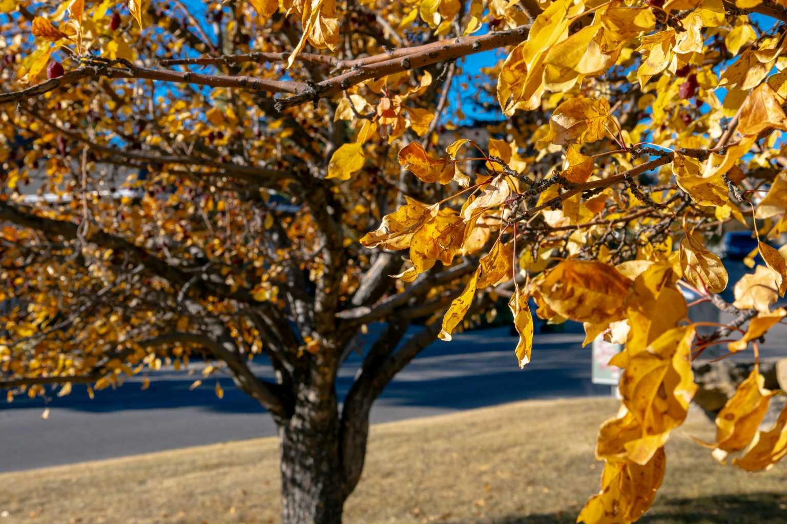 MLS #A2266014 image #46