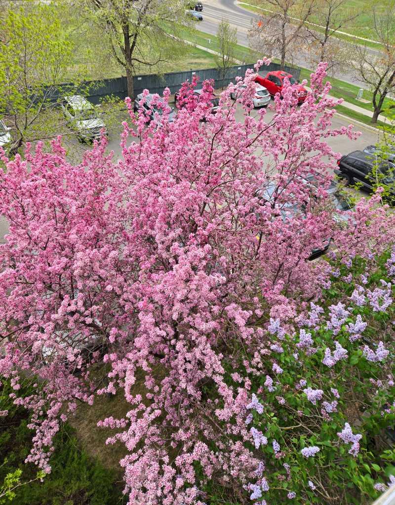 MLS #A2267257 image #30