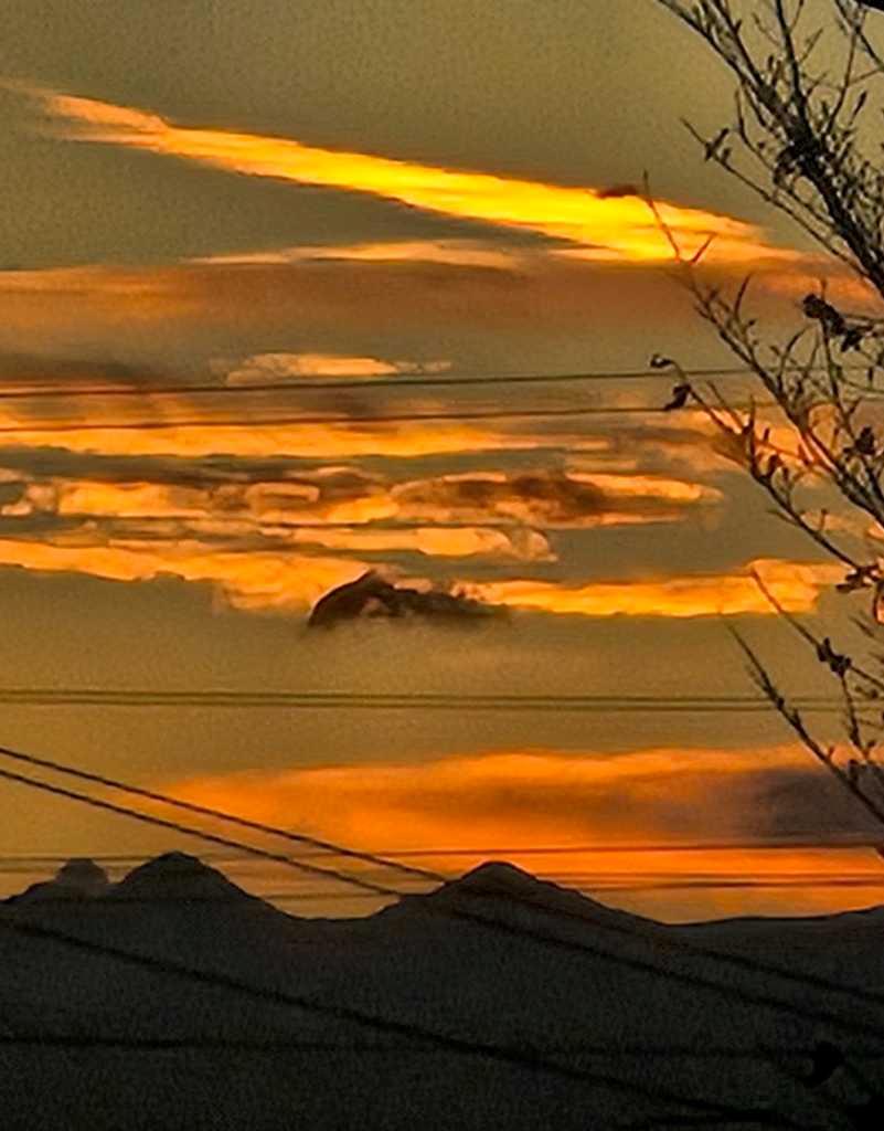 MLS #A2267257 image #32