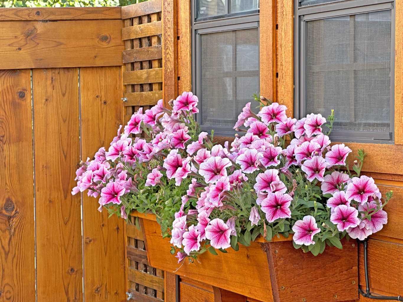 MLS #A2267411 image #28