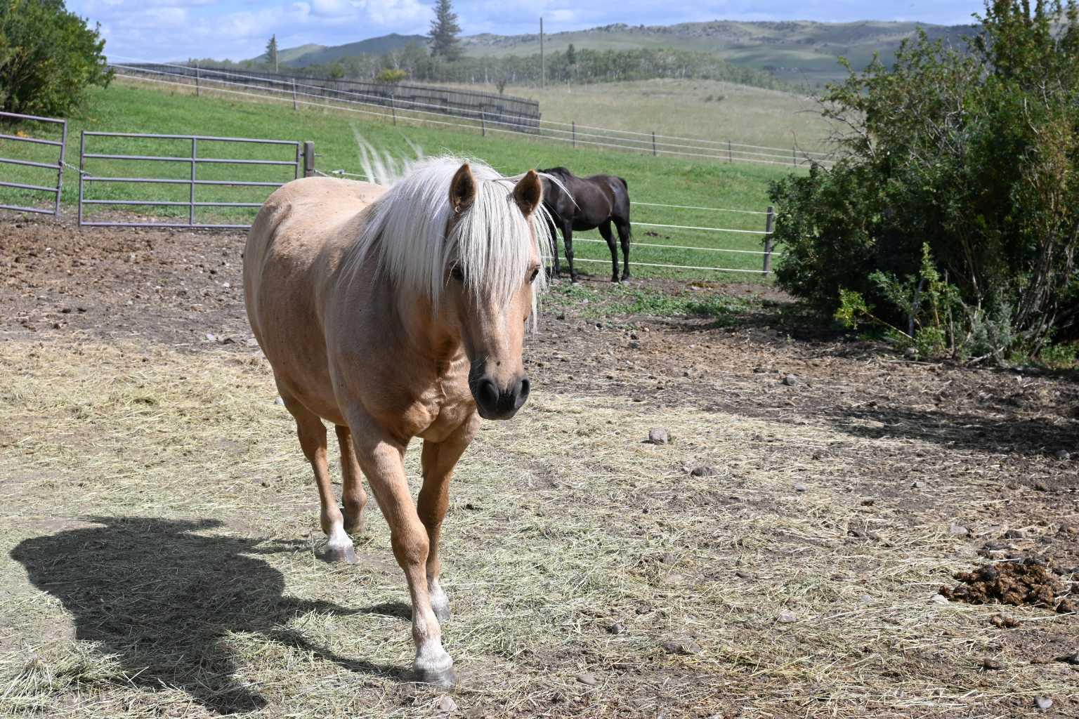 MLS #A2267487 image #37