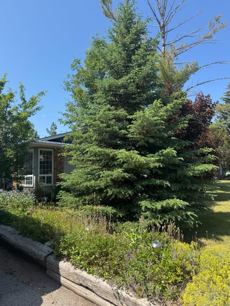 MLS #A2268040 image #5