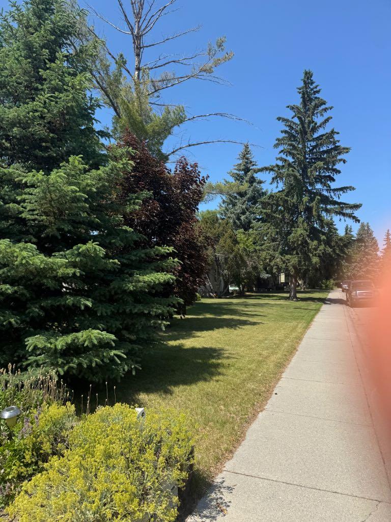 MLS #A2268040 image #6