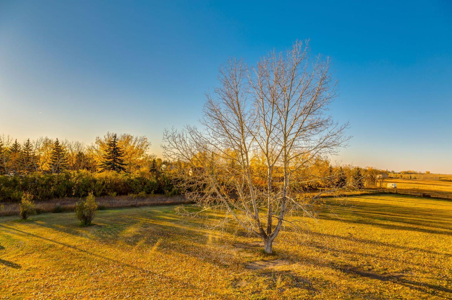 MLS #A2268352 image #31