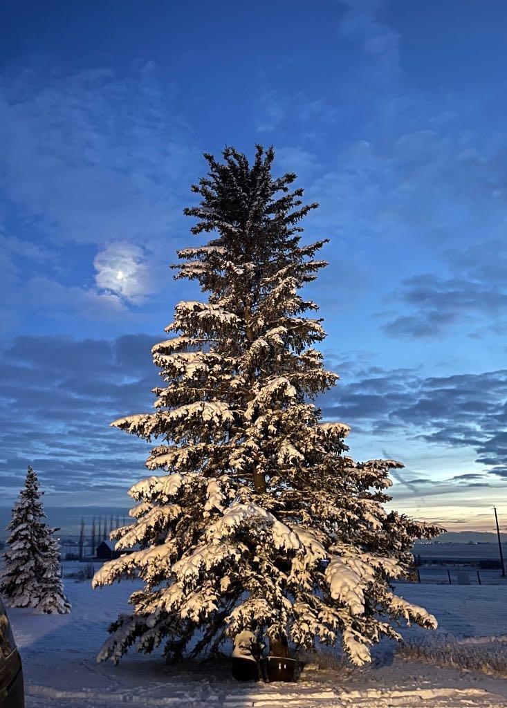 MLS #A2268352 image #4