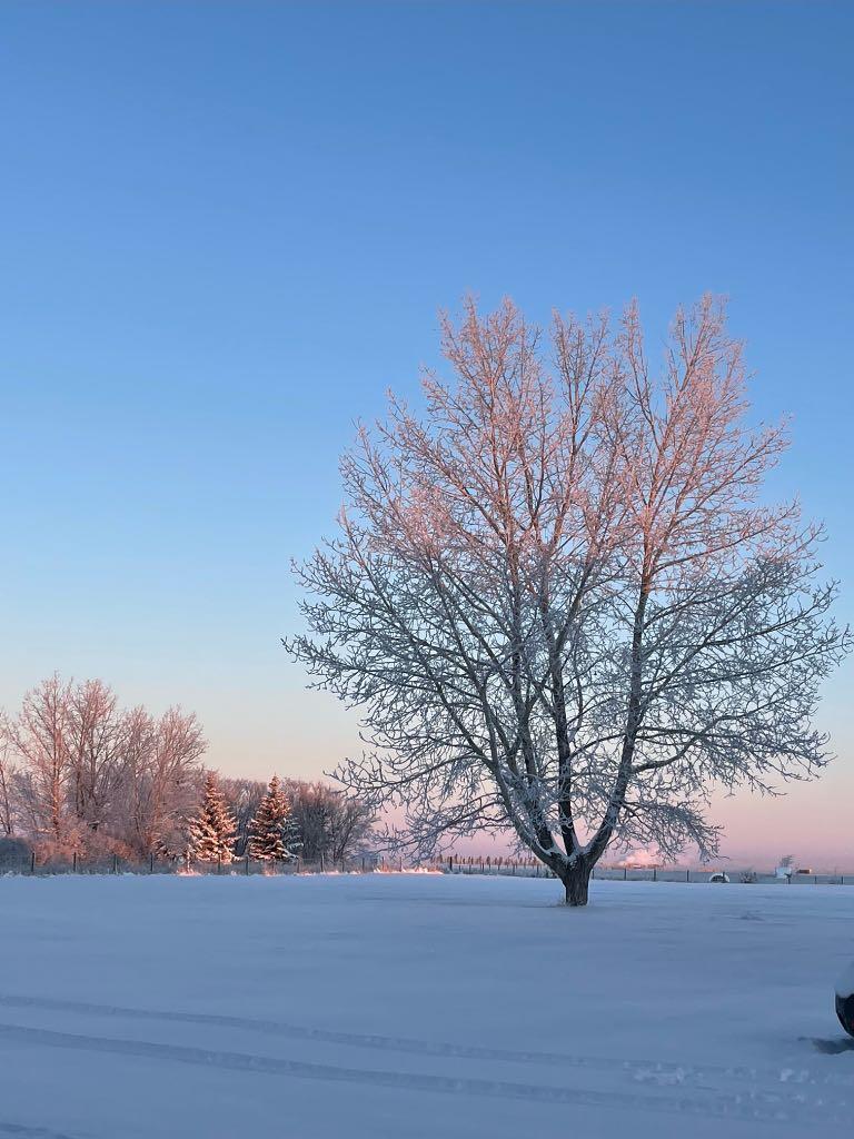 MLS #A2268352 image #8