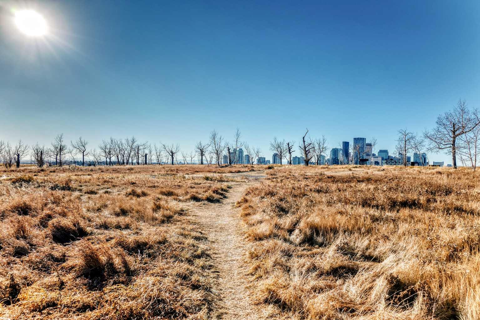 MLS #A2268999 image #46