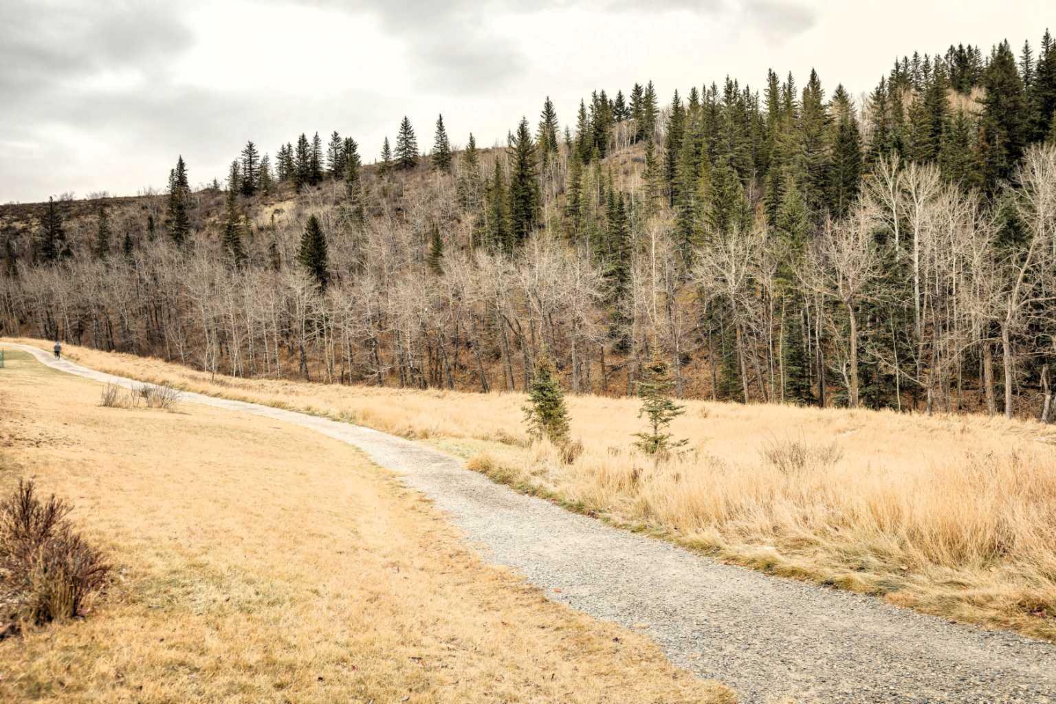 MLS #A2269159 image #5