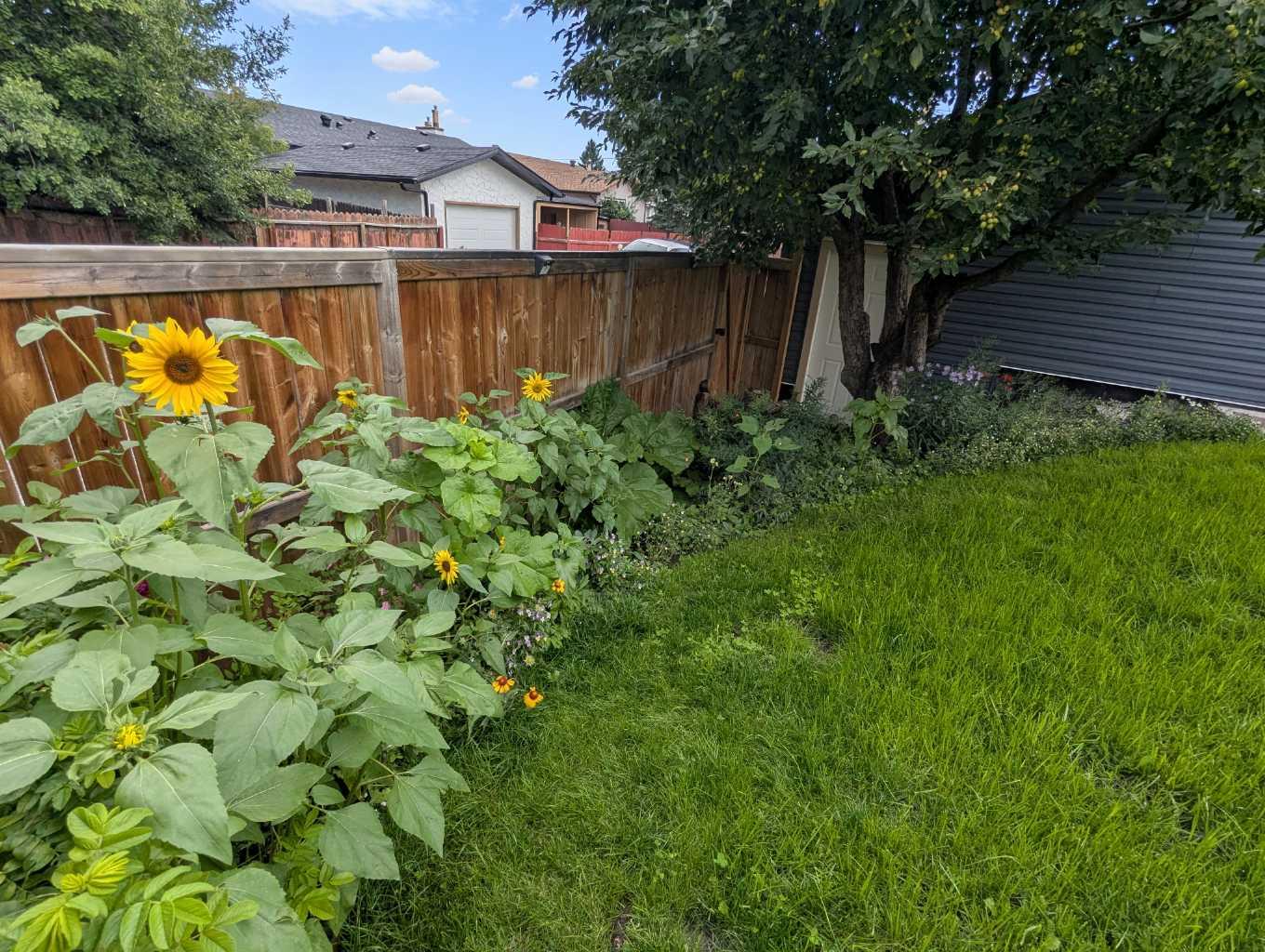 MLS #A2269173 image #42