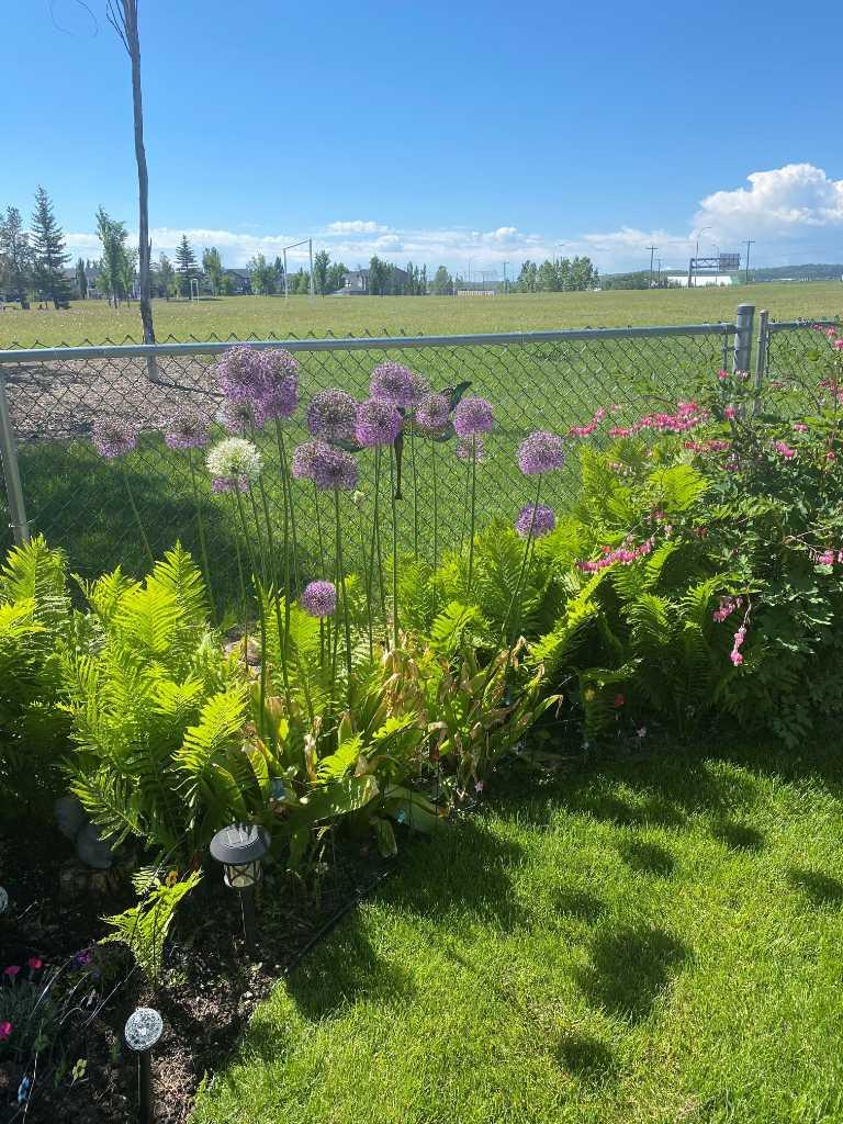 MLS #A2269939 image #29