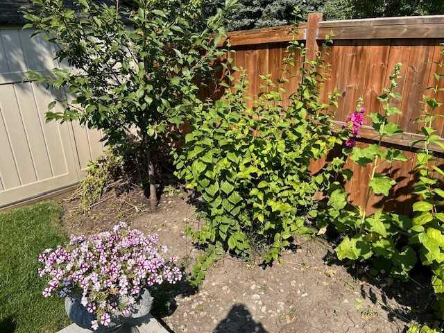 MLS #A2272081 image #36