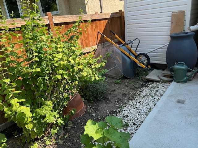 MLS #A2272081 image #37