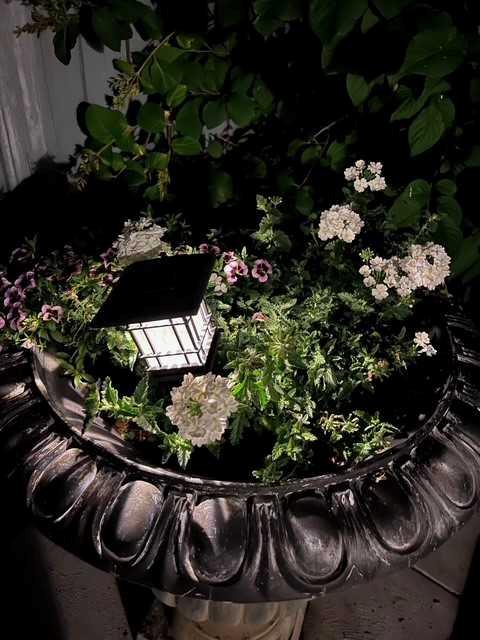 MLS #A2272081 image #40