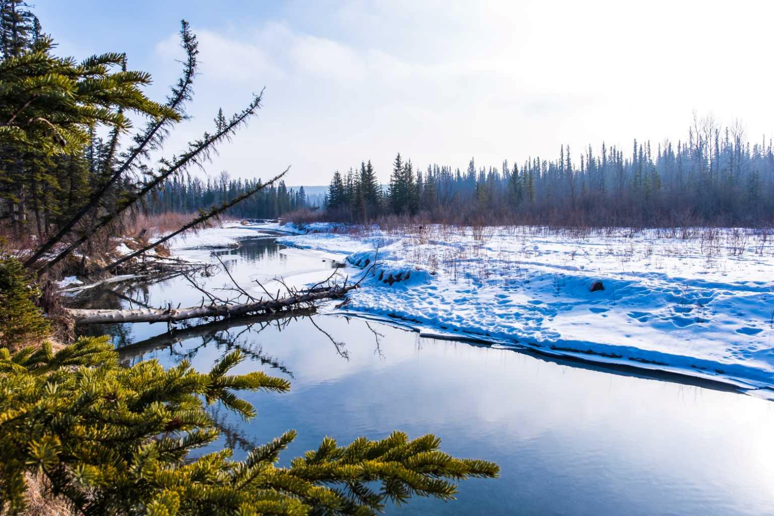 MLS #A2273000 image #24