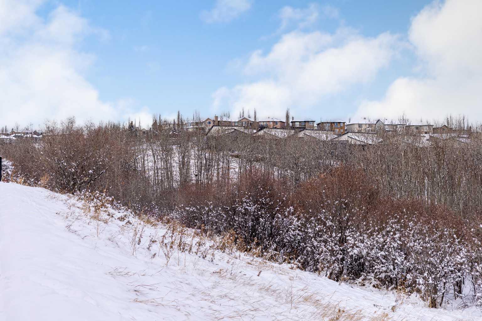 MLS #A2273055 image #44