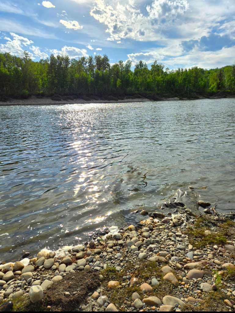 MLS #A2273145 image #44