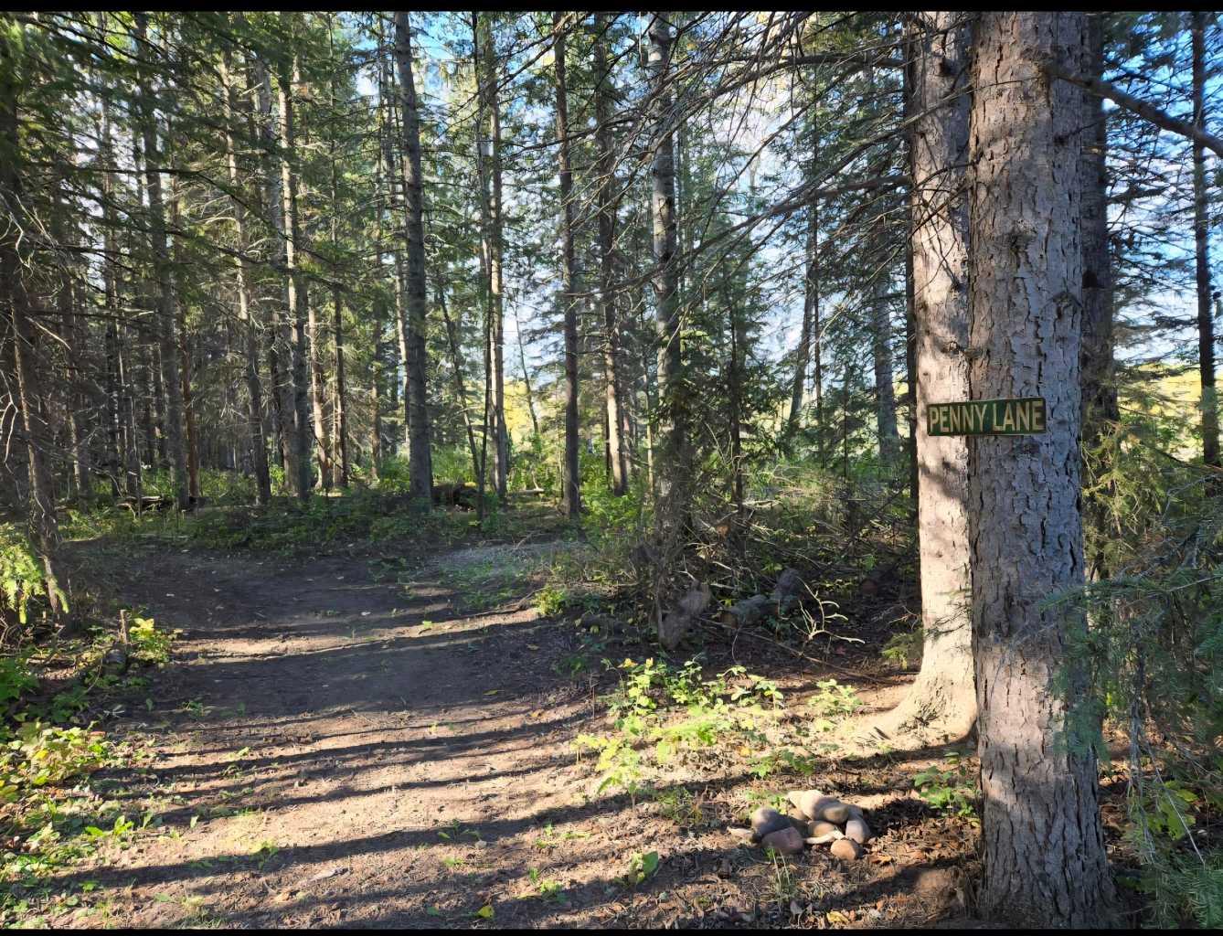 MLS #A2273145 image #46