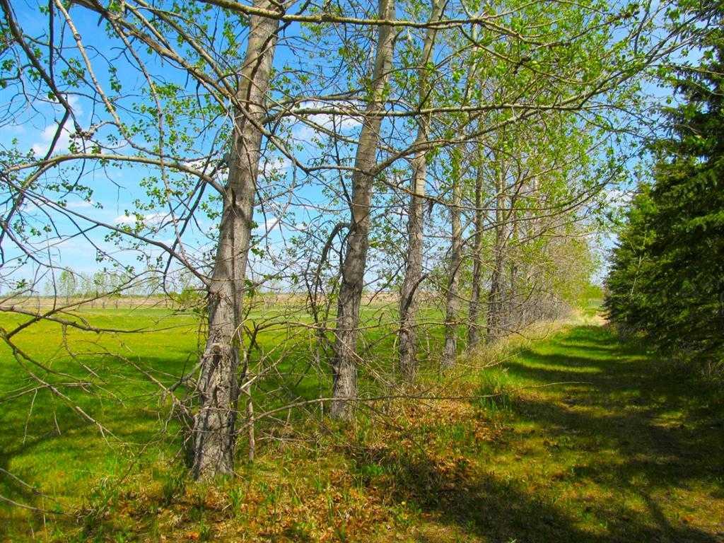 MLS #A2273211 image #9