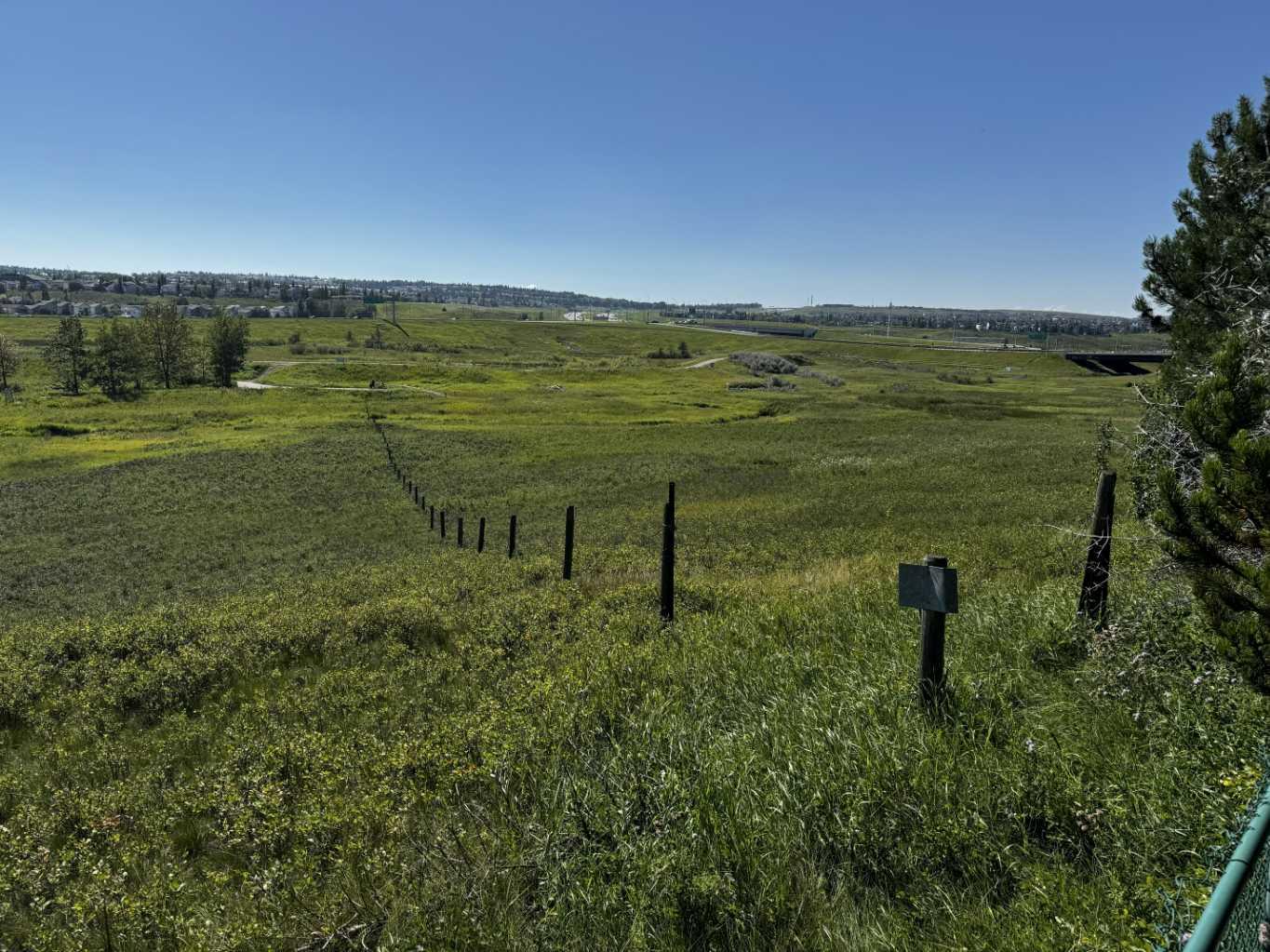 MLS #A2273272 image #35