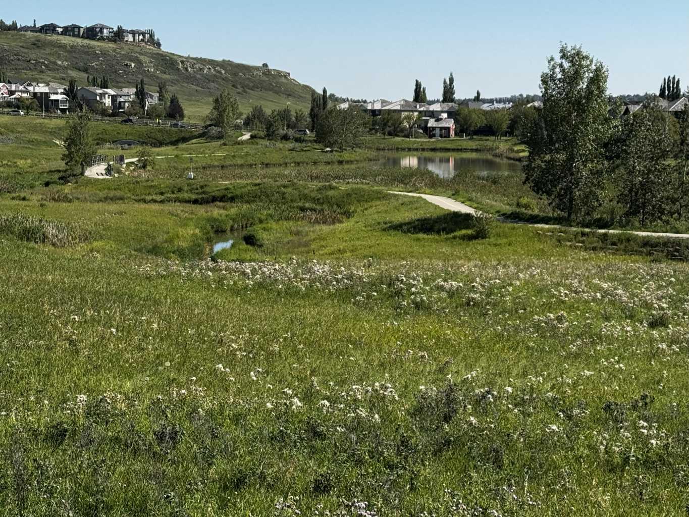 MLS #A2273272 image #38