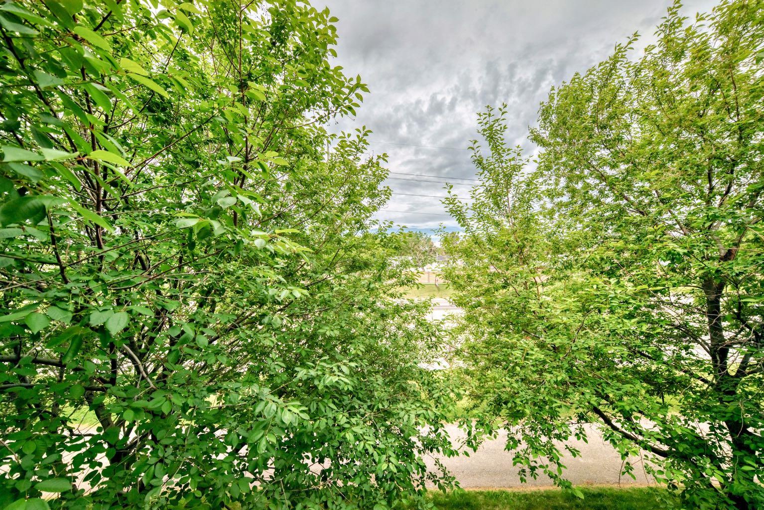 MLS #A2273482 image #20