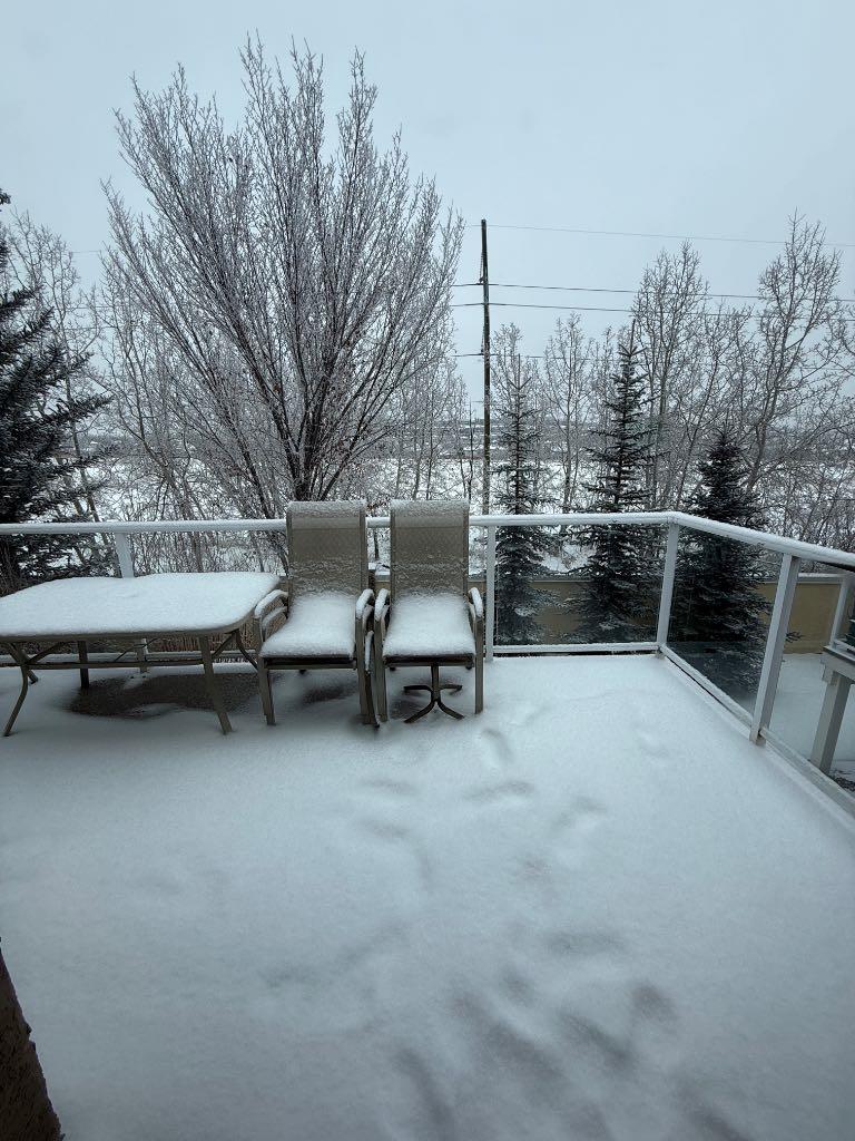 MLS #A2273726 image #44