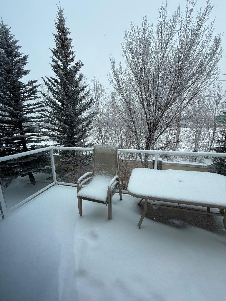 MLS #A2273726 image #45