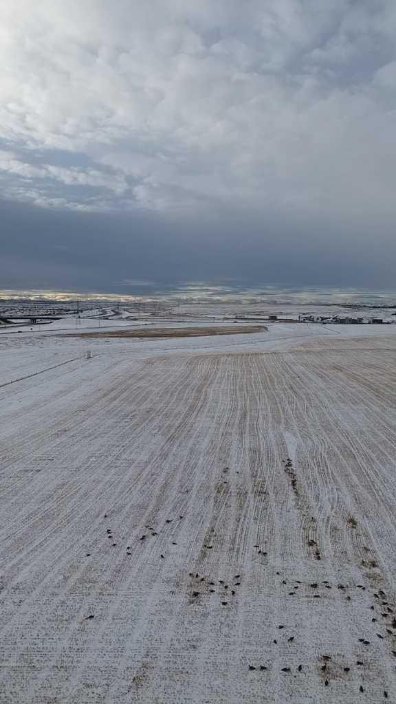 MLS #A2273759 image #2