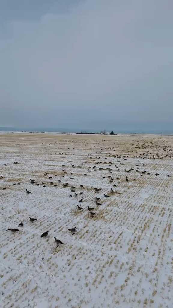 MLS #A2273759 image #3