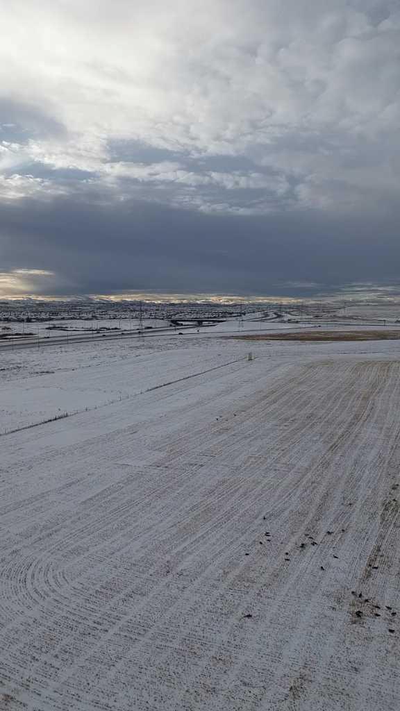 MLS #A2273759 image #4