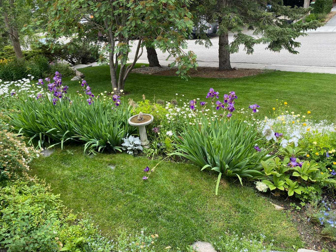 MLS #A2273950 image #50