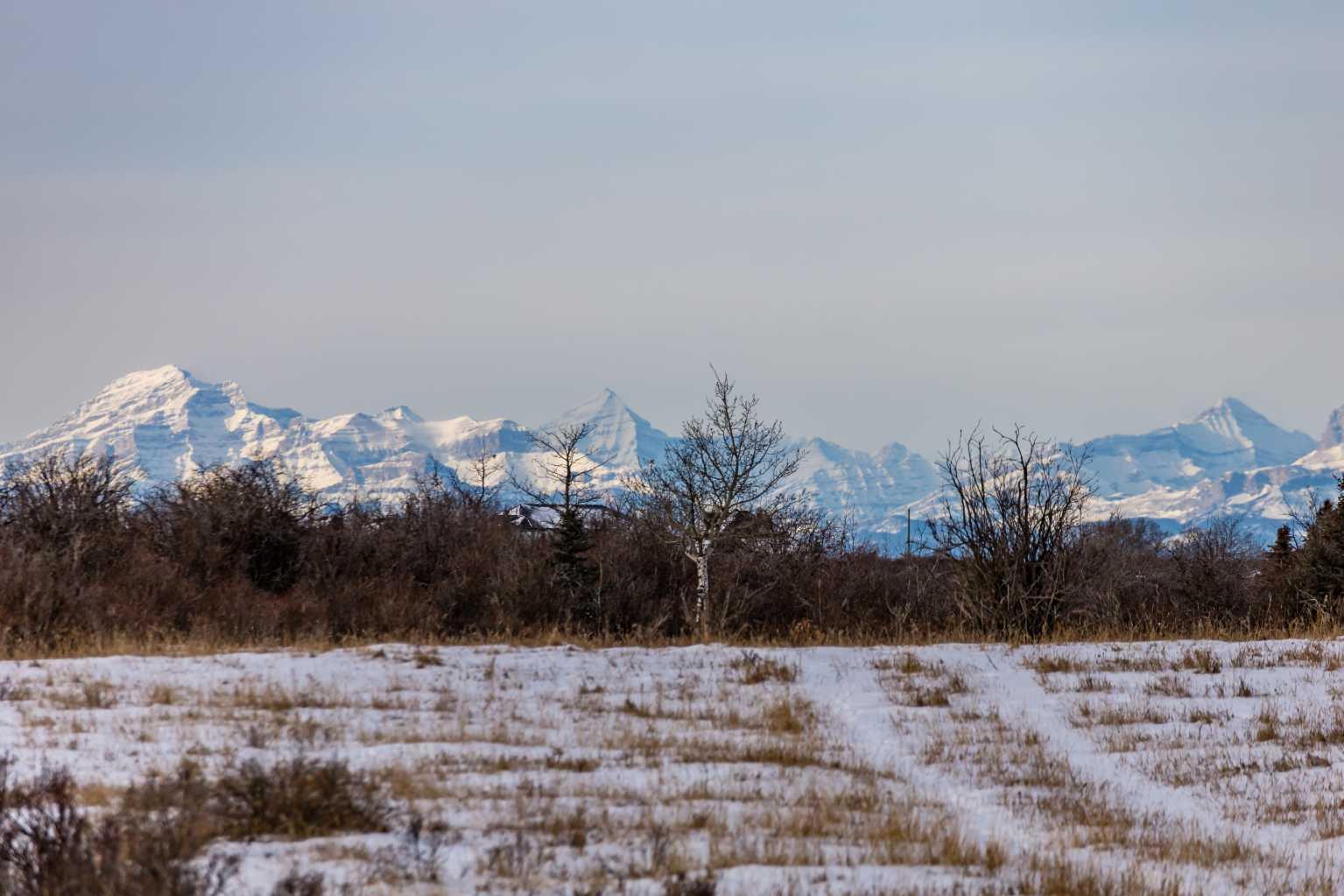 MLS #A2274039 image #2