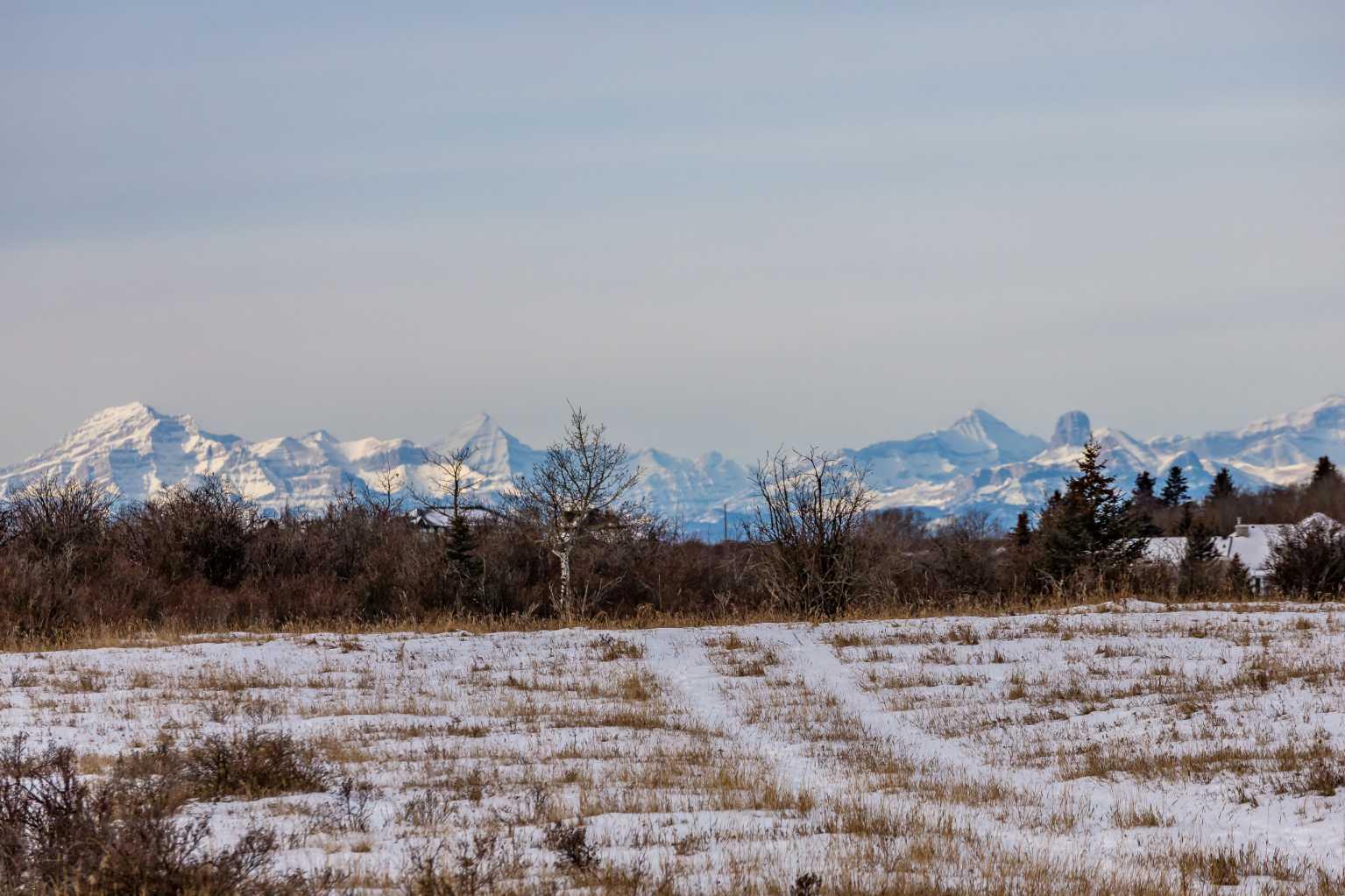 MLS #A2274039 image #4