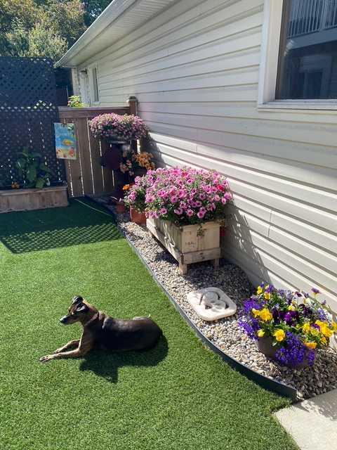 MLS #A2274364 image #40