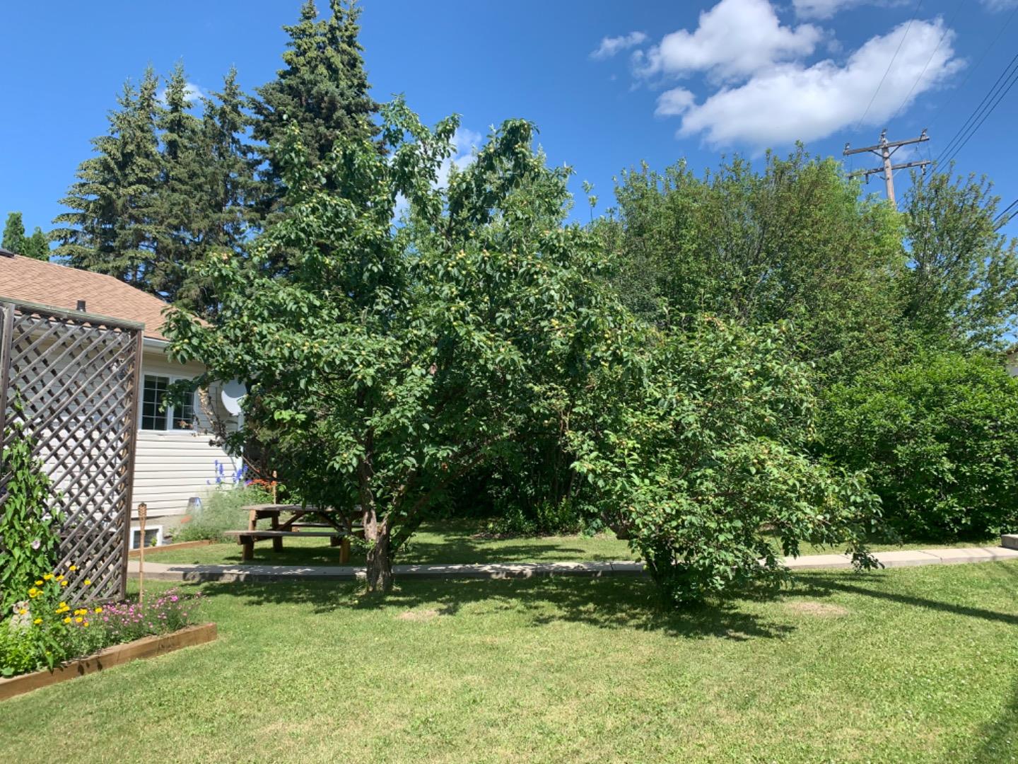 MLS #A2274929 image #42