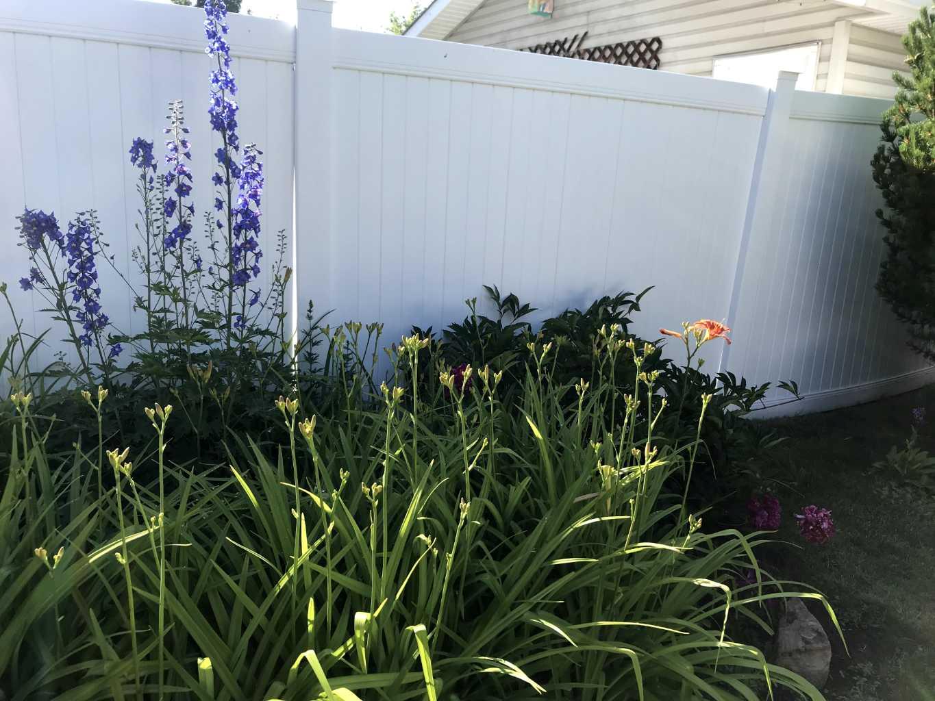 MLS #A2275114 image #29